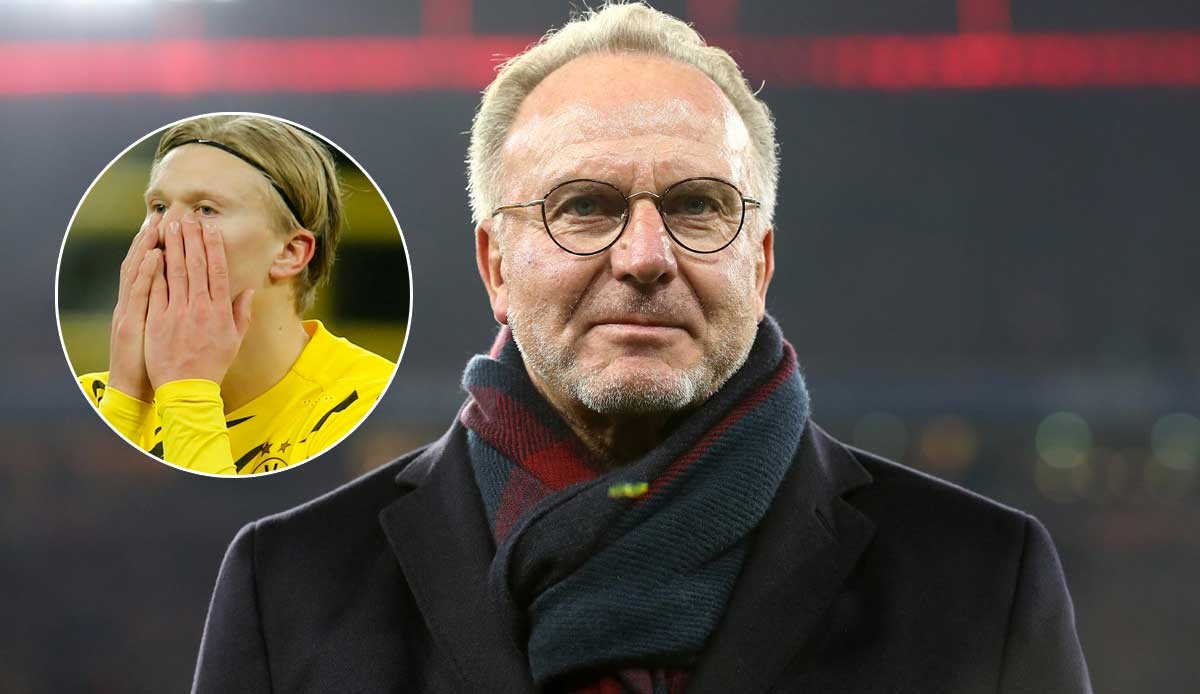 判决书：原天津泰达球员白某峰因受贿判有期徒刑一年，缓刑一年